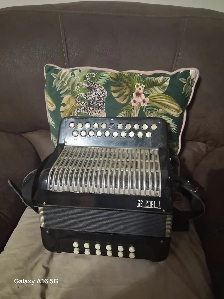 Serenelli Black Dot Accordian