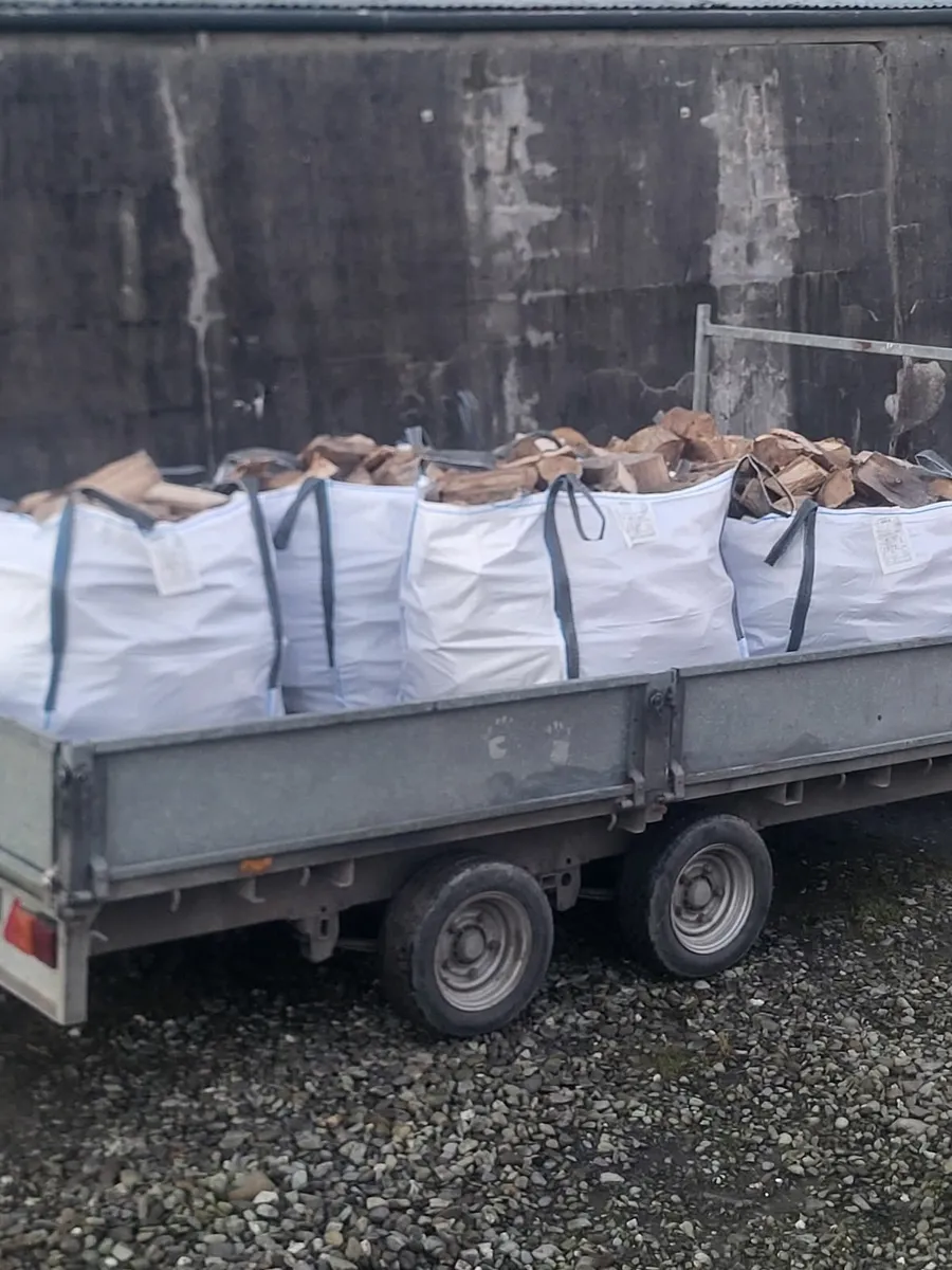 Firewood - Image 1
