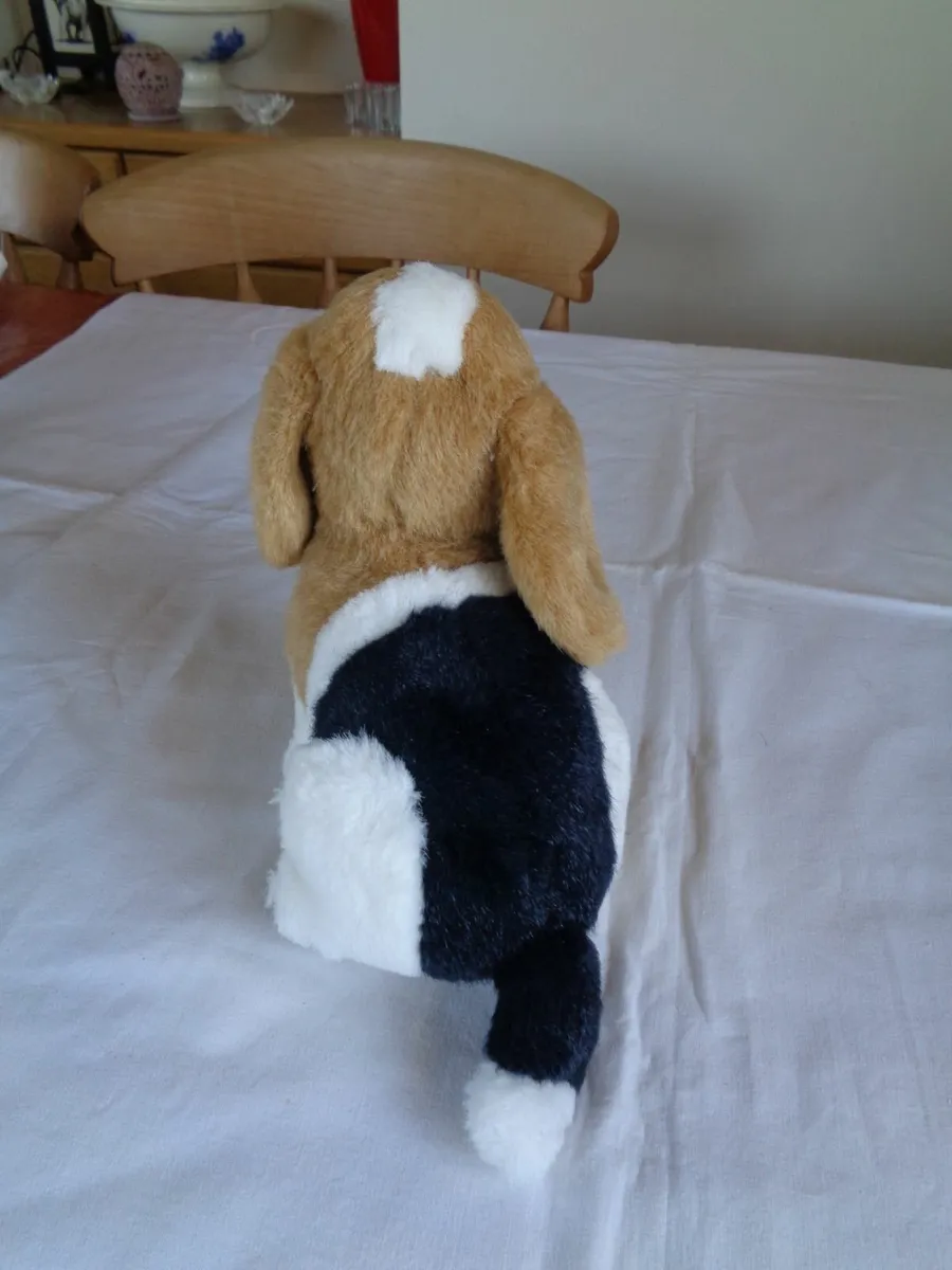 Cuddly Dog for Sale - Image 3