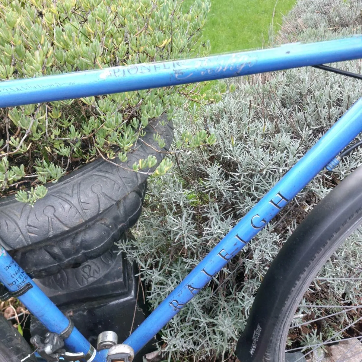 Raleigh pioneer - Image 3