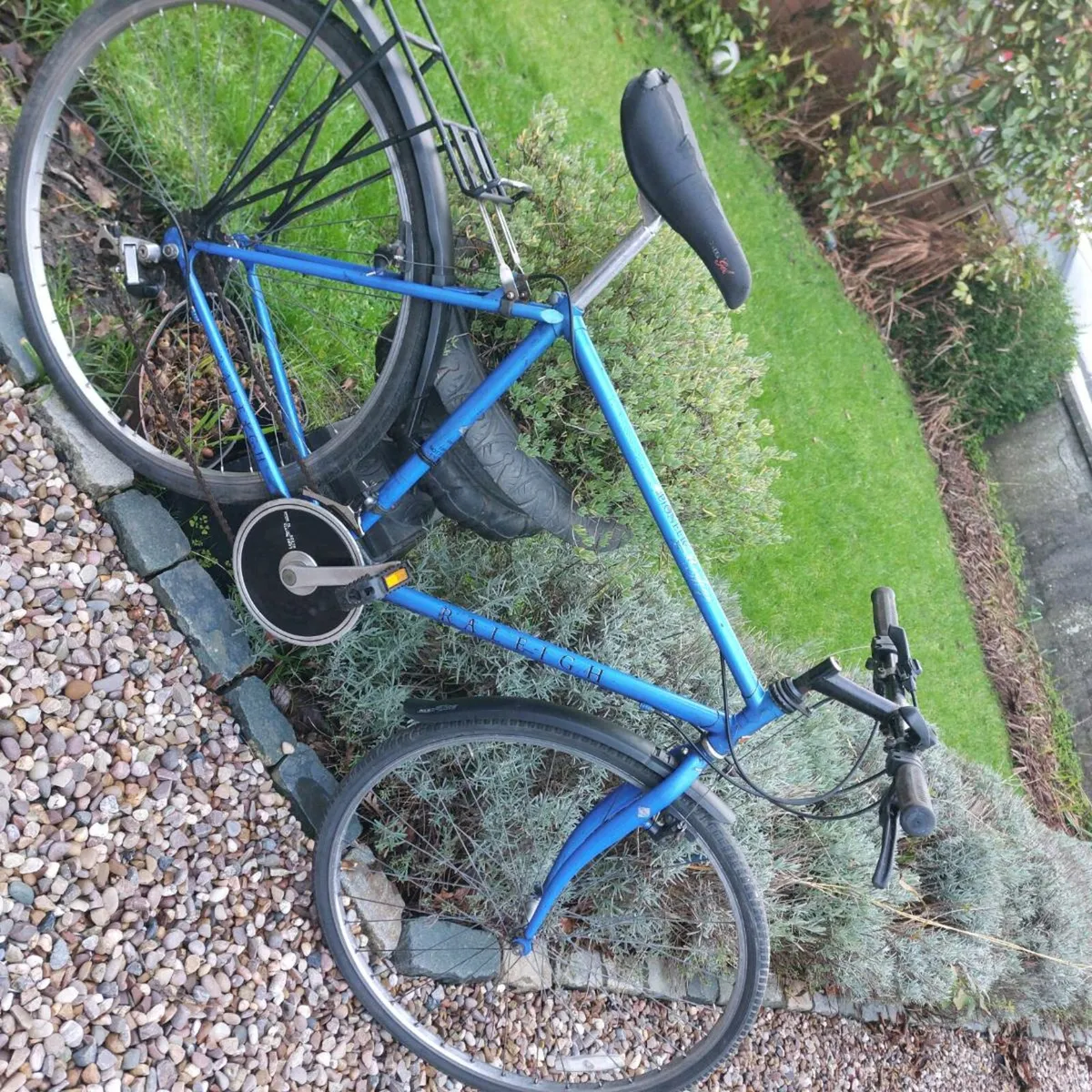 Raleigh pioneer - Image 1