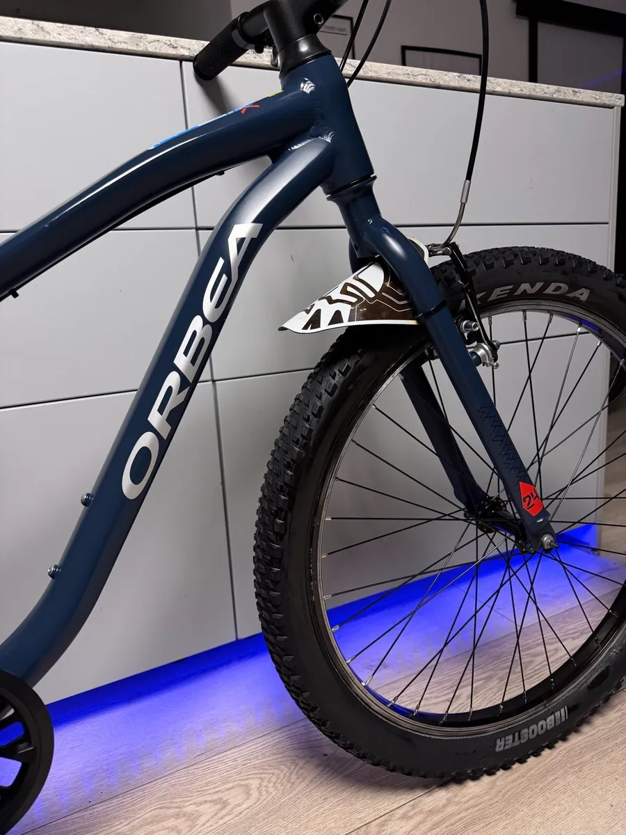 ORBEA MX24 Dirt Junior Bike 24 inch - Image 3