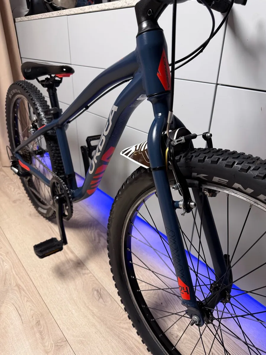 ORBEA MX24 Dirt Junior Bike 24 inch - Image 4