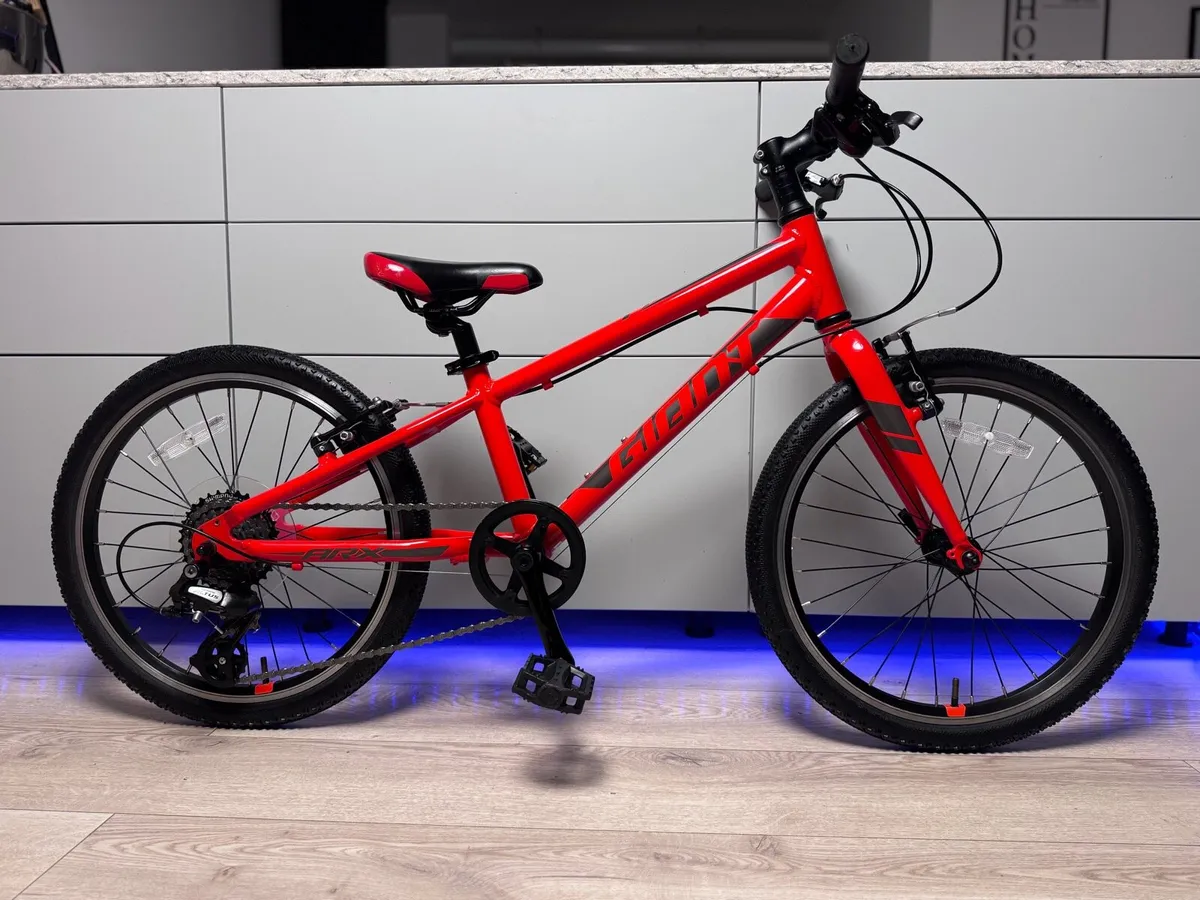 Giant ARX Kids Bike 20 inch - Image 1
