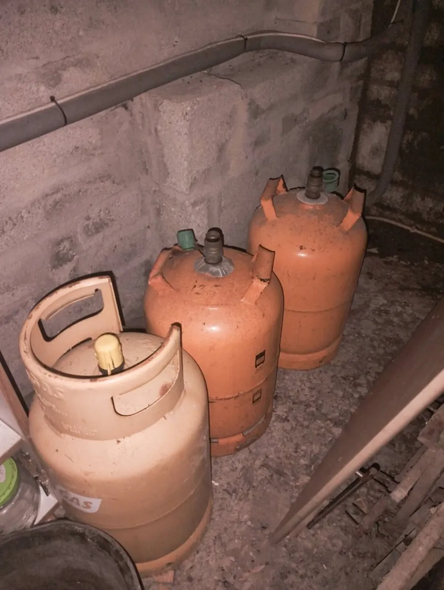 4 empty propane-butane gas cylinders - Image 1