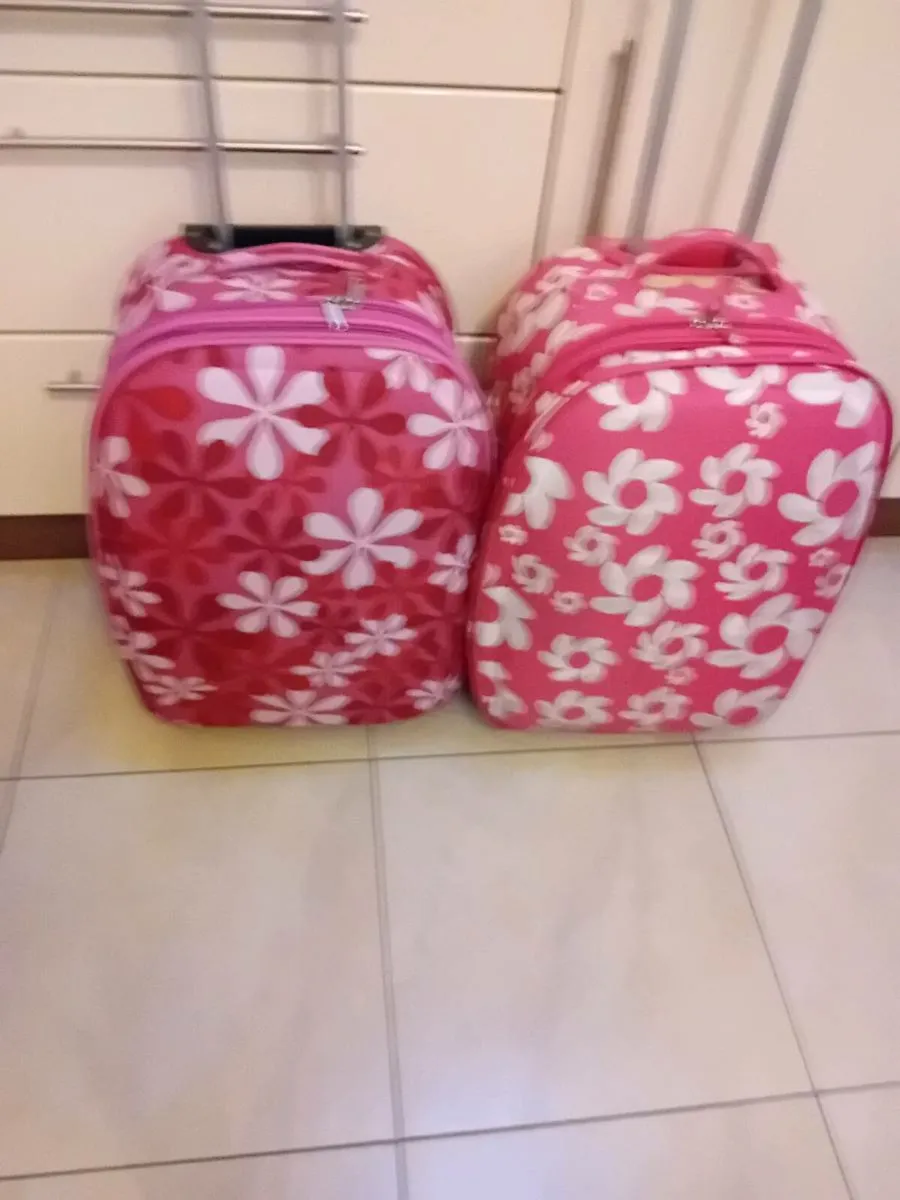 PINK SUITCASES.  X. 2.