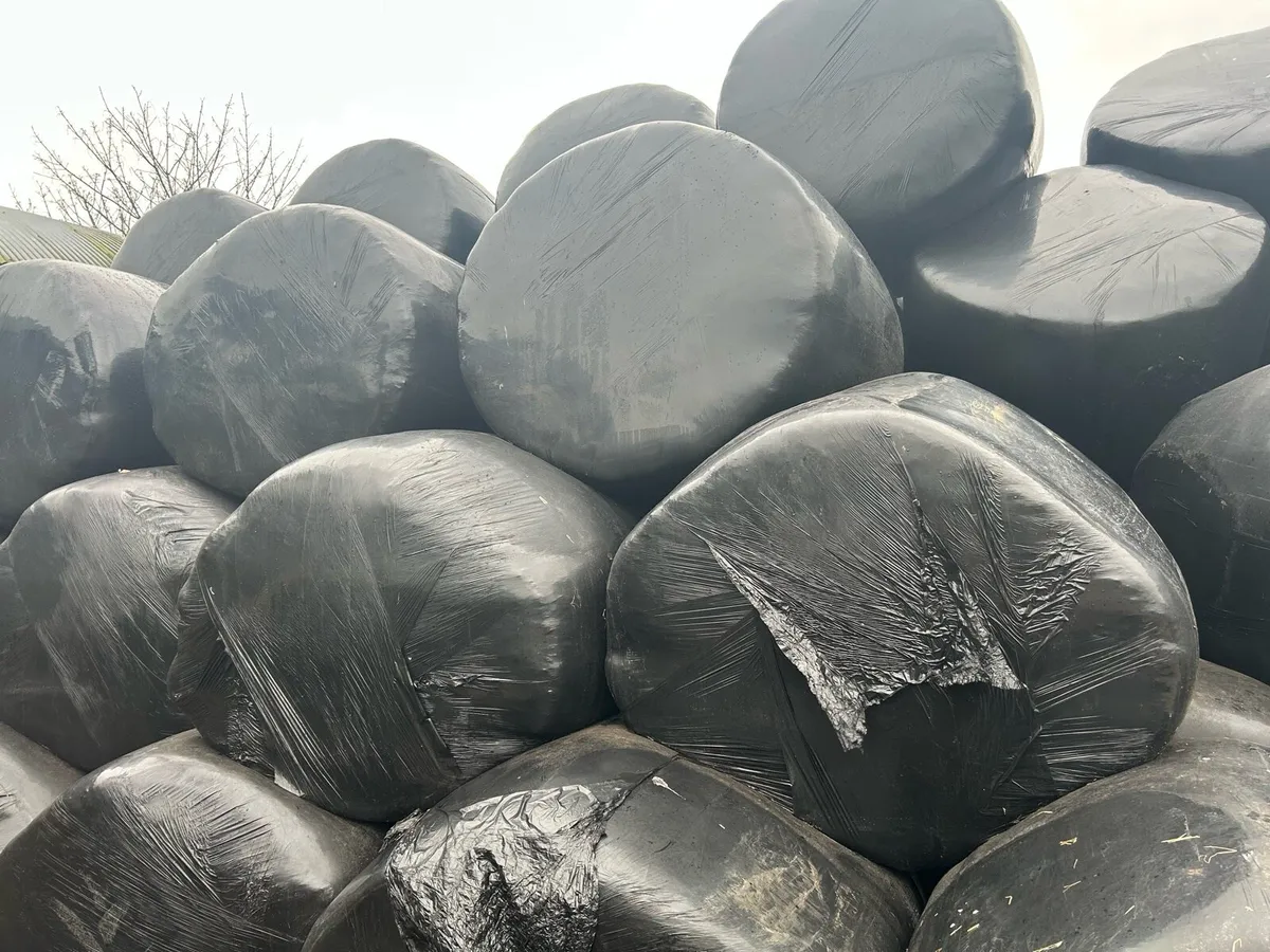 Bales of silage and hay - Image 1