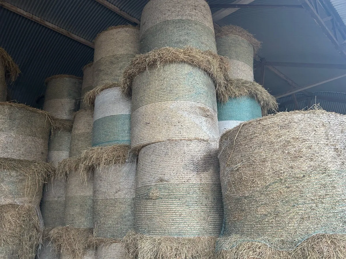 Bales of silage and hay - Image 2