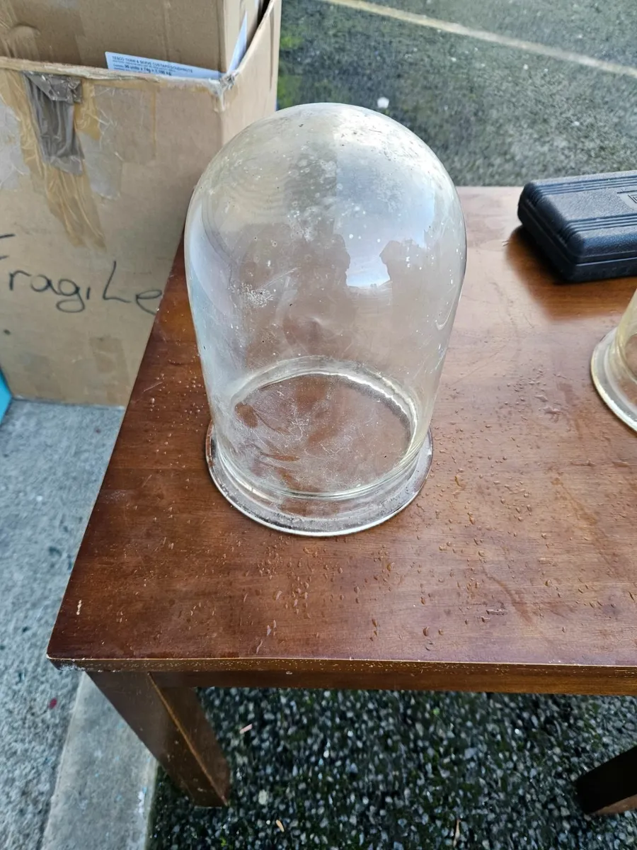 Vintage Antique Glass Dome - Image 1
