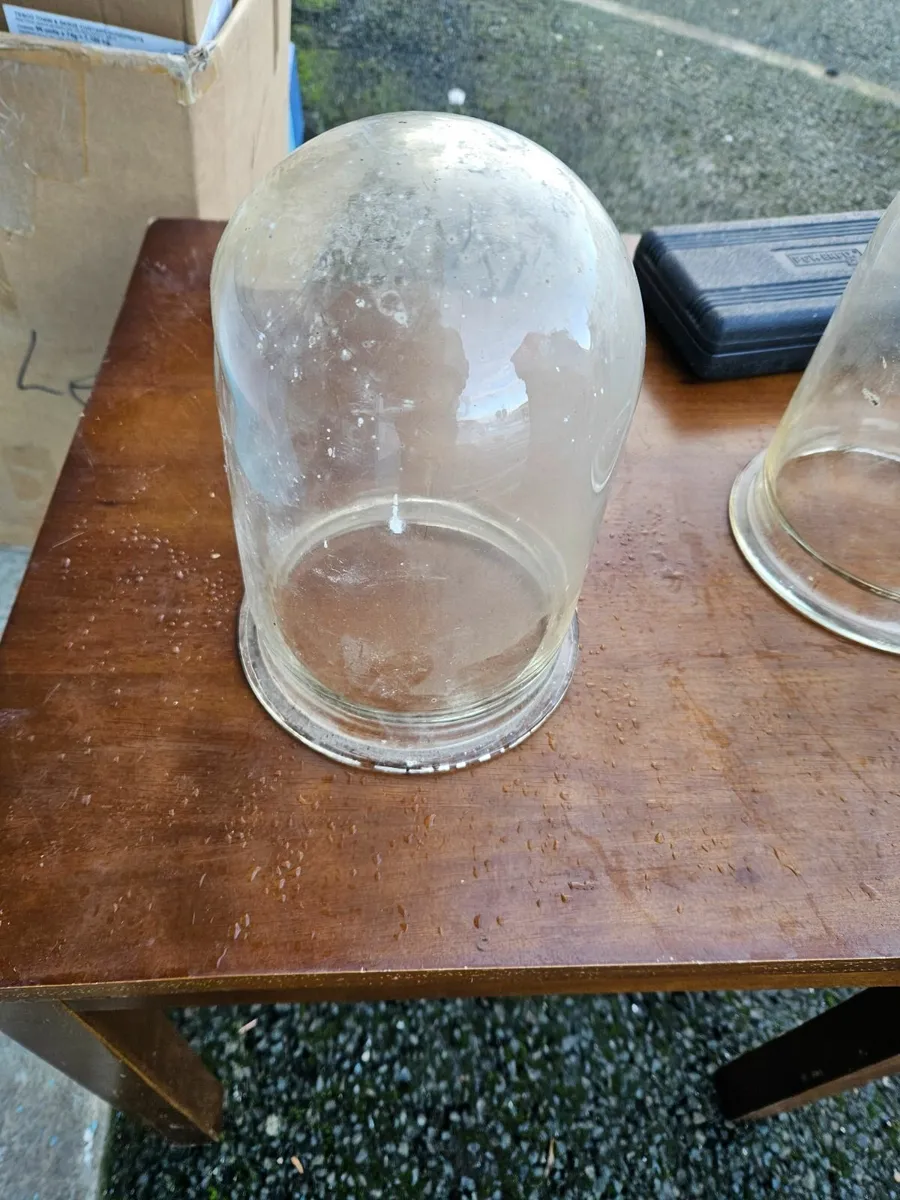 Vintage Antique Glass Dome - Image 3