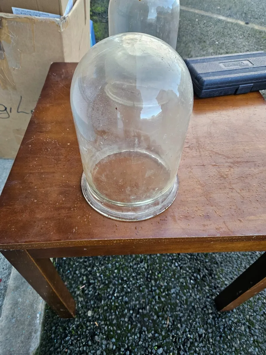 Vintage Antique Glass Dome - Image 2
