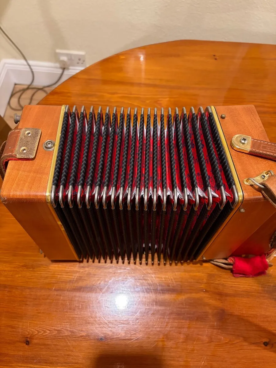 Castagnari Lilly - Image 3