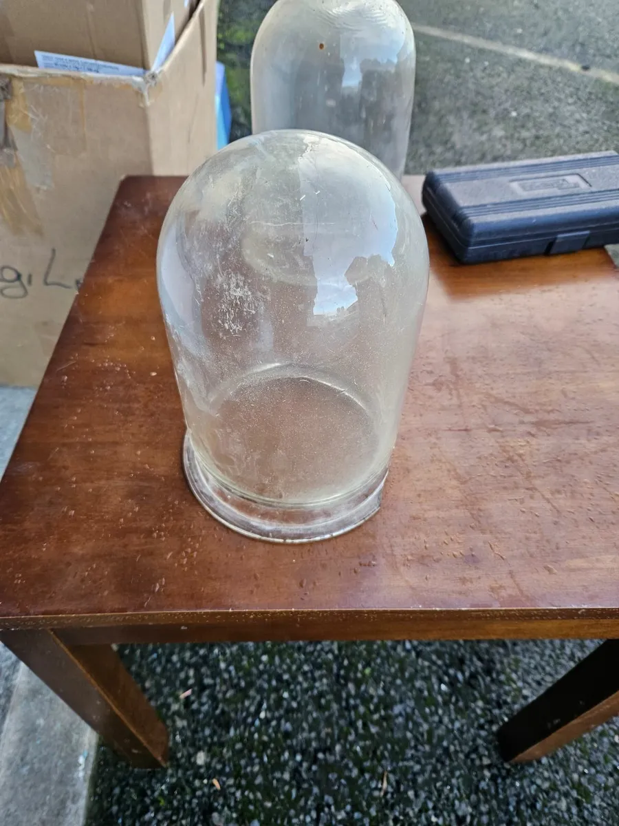 Vintage Antique Glass Dome - Image 3