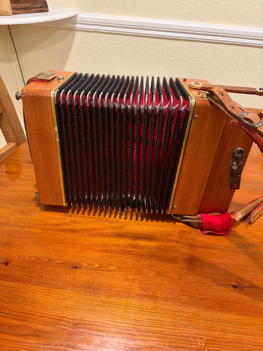 Castagnari Lilly - Image 4