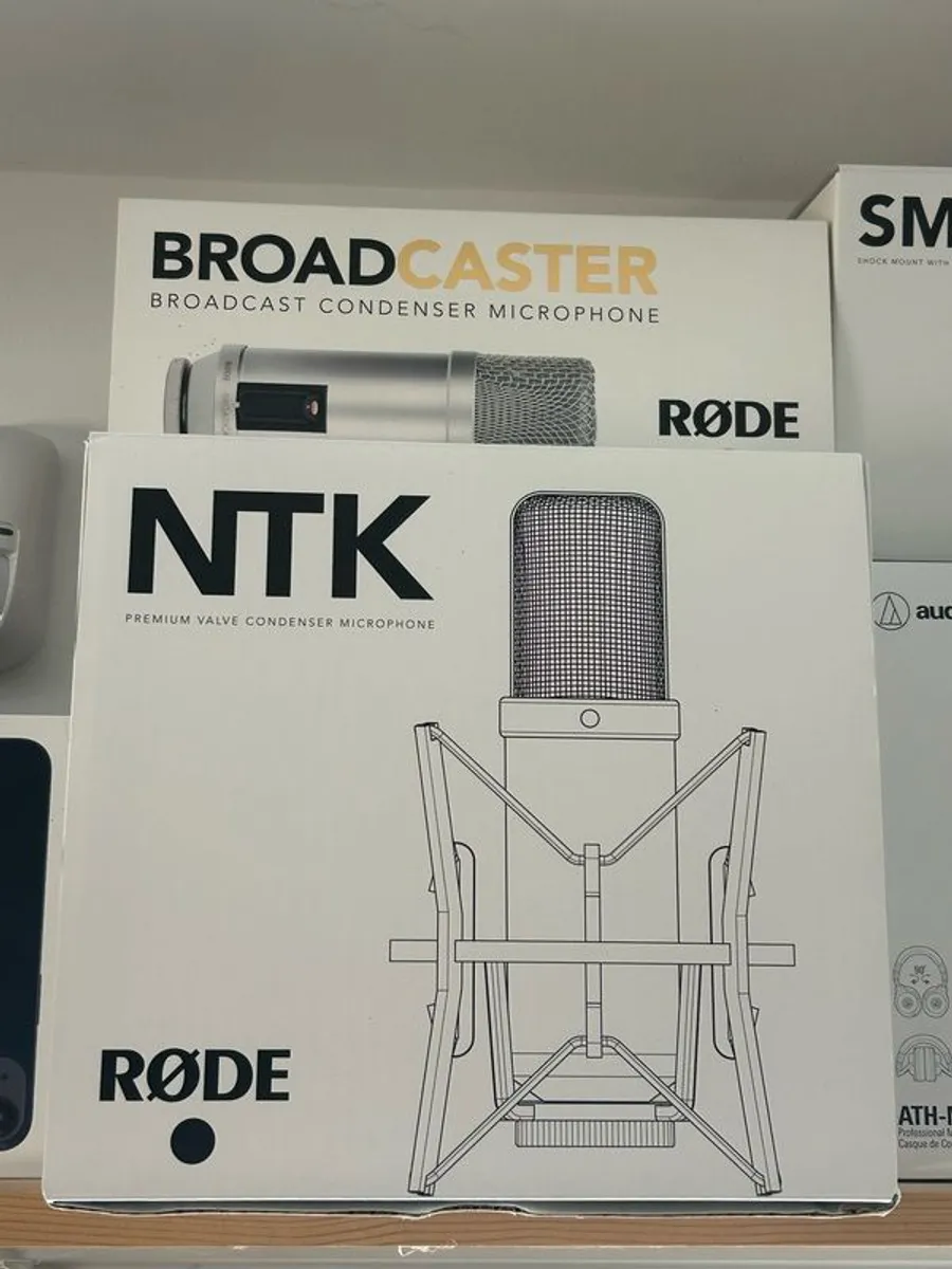 Condenser Mic - Image 4