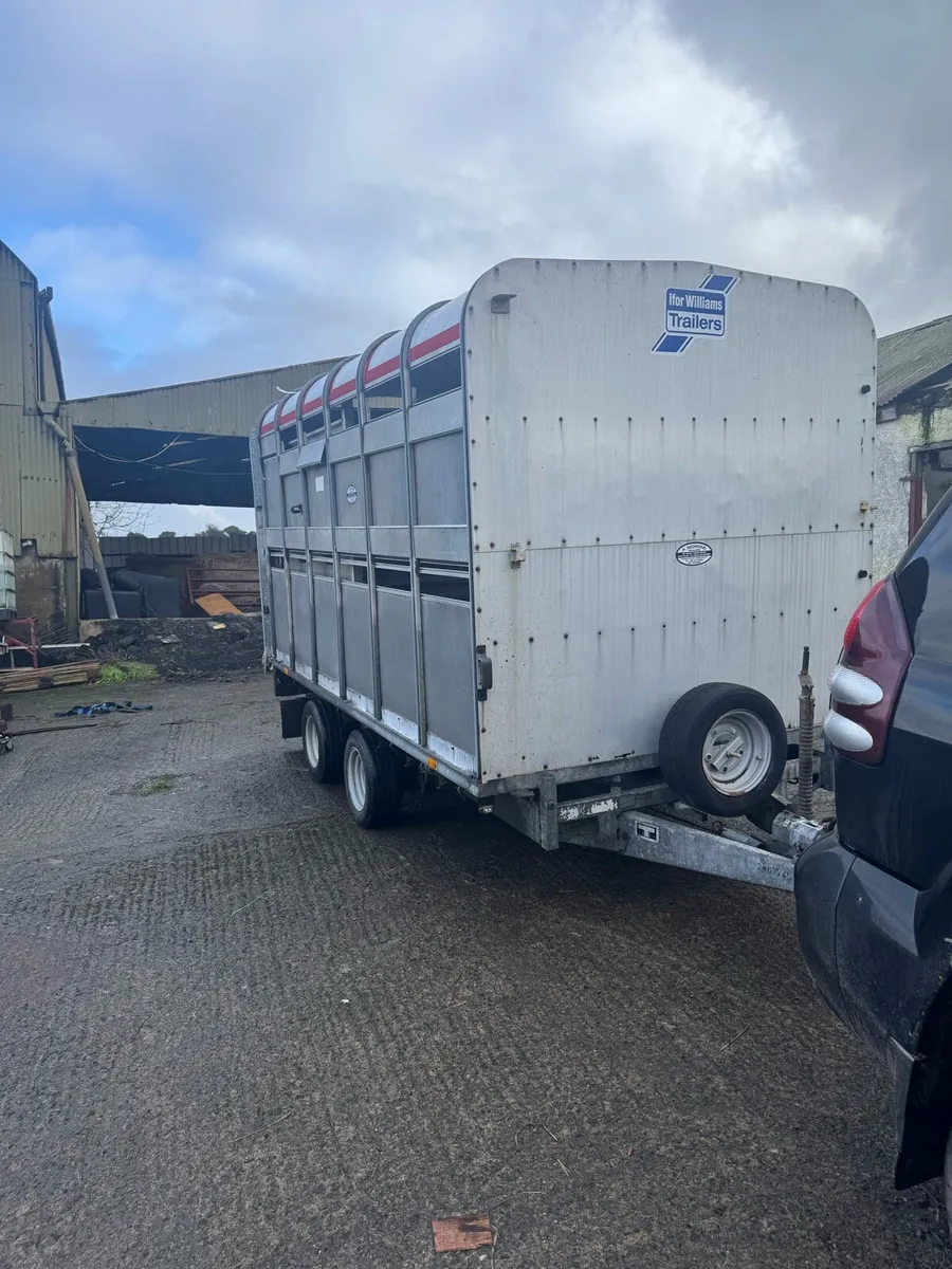 Cattle trailer - Image 2