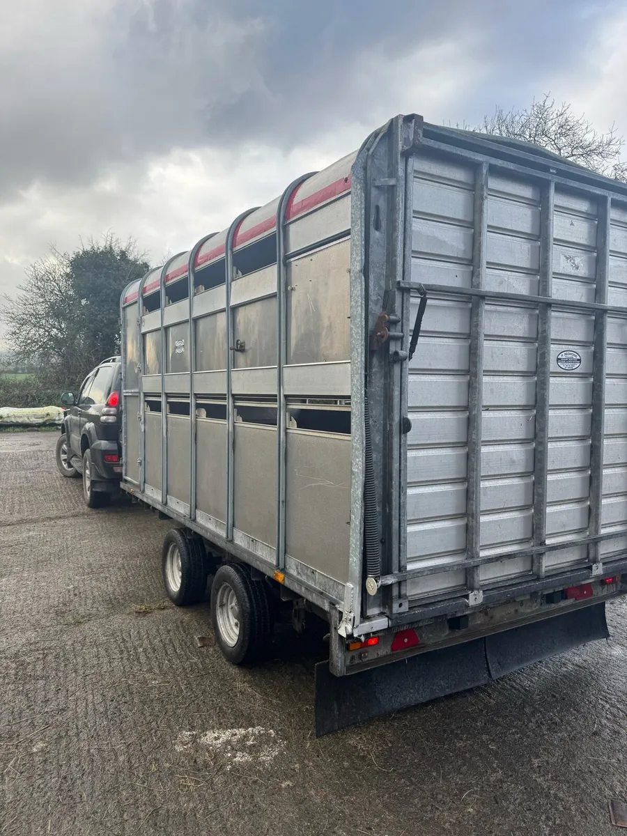 Cattle trailer - Image 4