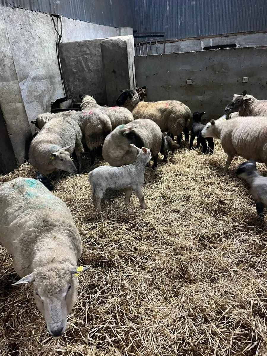 ⚡️Smashing outfits ⚡️ - Image 4