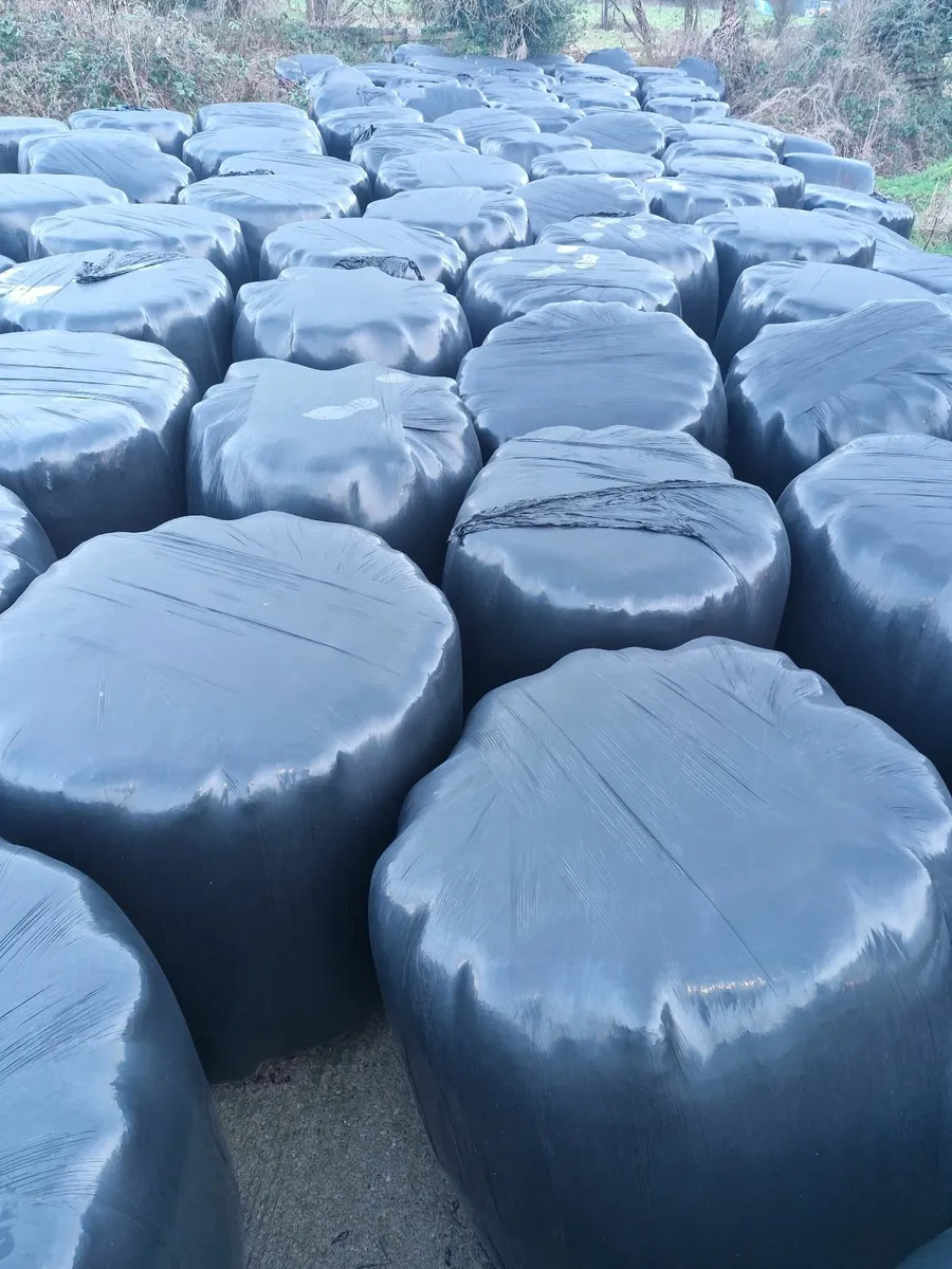Silage Bales