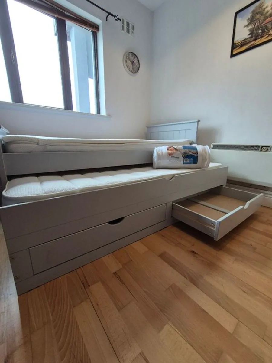 Dual Beds - Single Bed with Storage and a Second Pull-Out Bed - Image 1