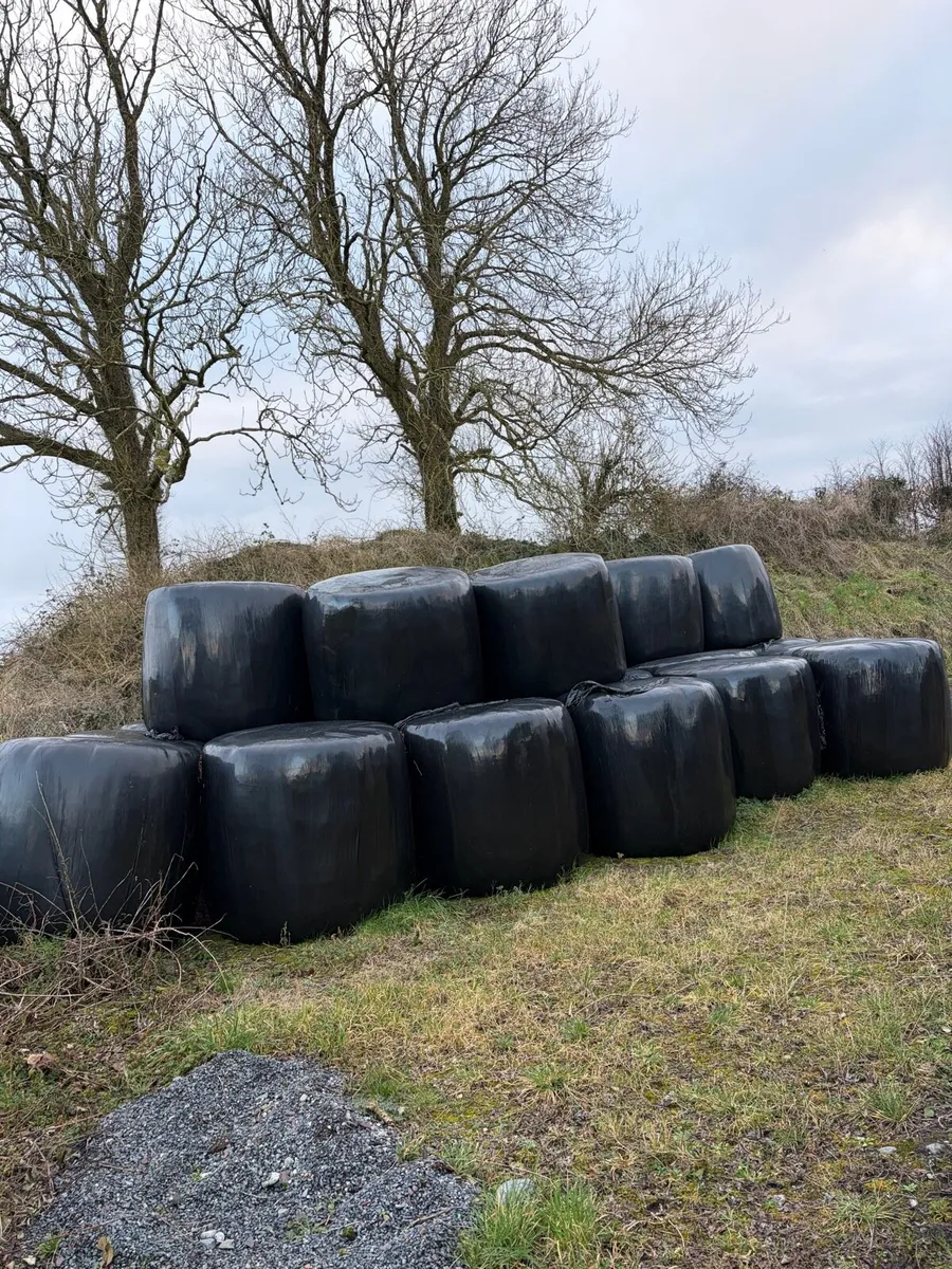 Silage Bales - Image 2