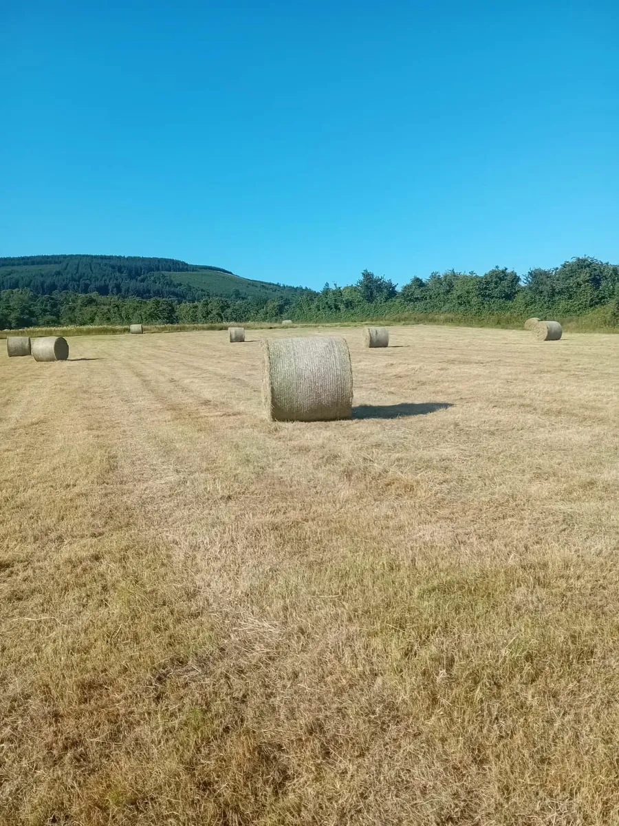 Round bales of Hay