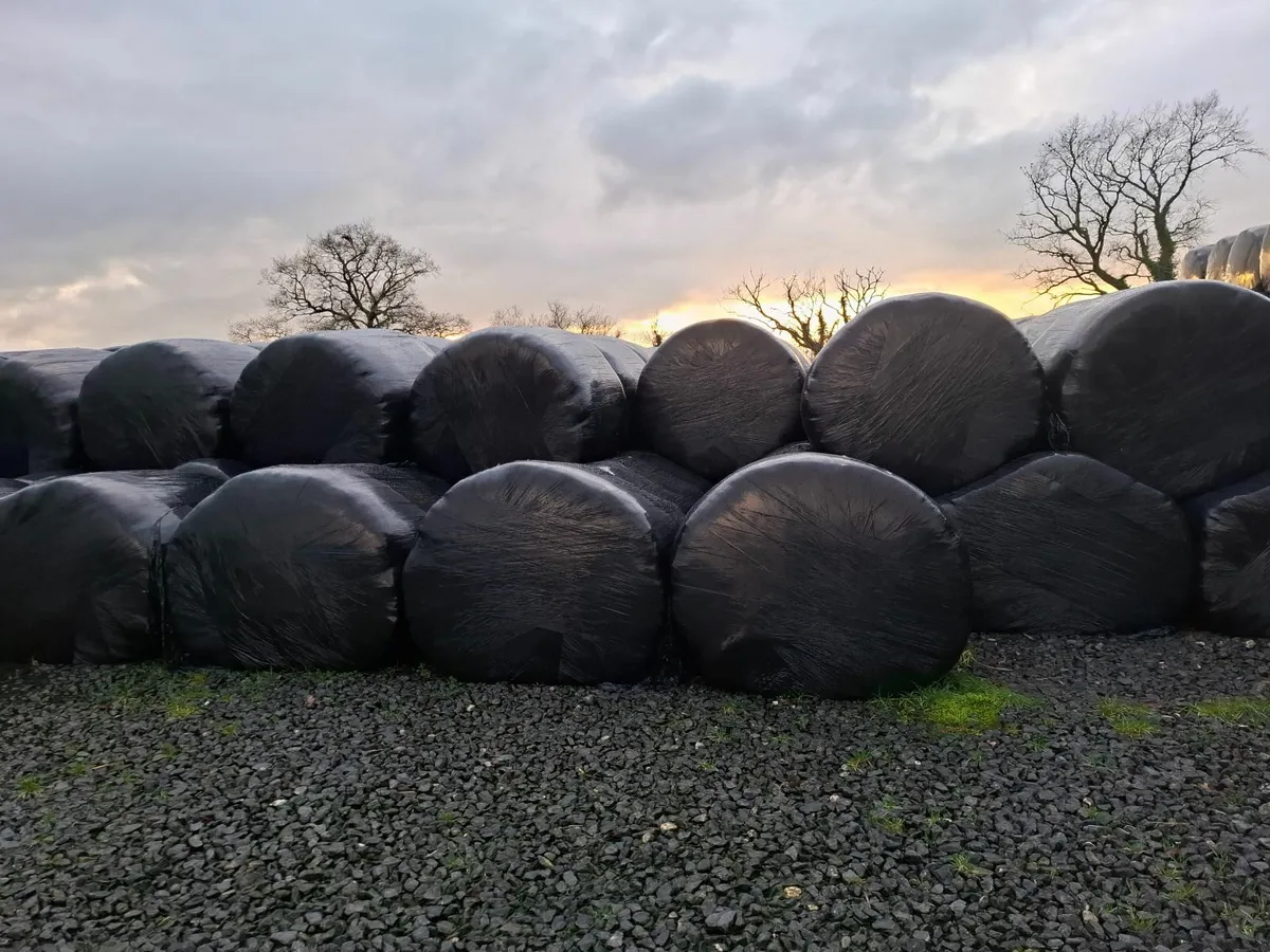 Silage/Straw Bales - Image 1