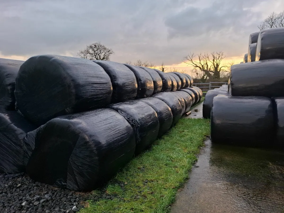 Silage/Straw Bales - Image 2