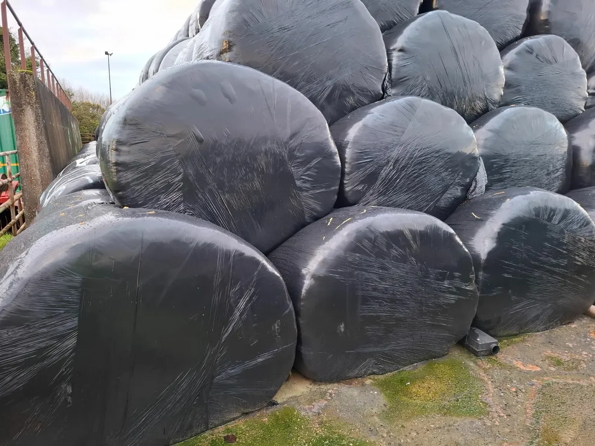 Silage/Straw Bales - Image 3