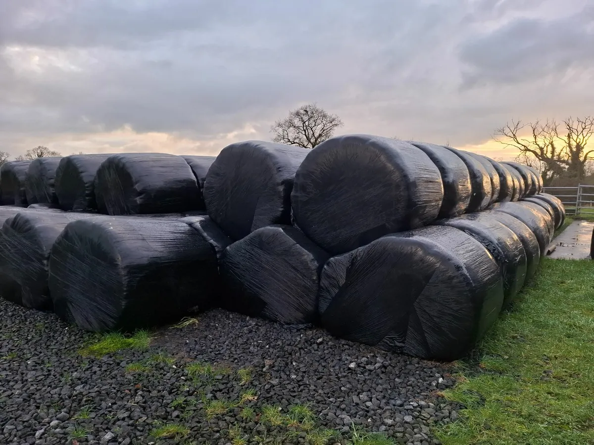 Silage/Straw Bales - Image 4