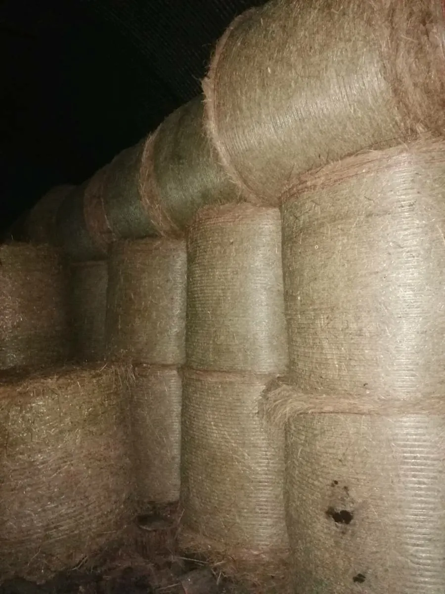 Hay for sale, saved without rain, July 25 - Image 1