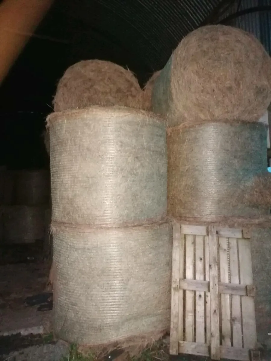 Hay for sale, saved without rain, July 25 - Image 3