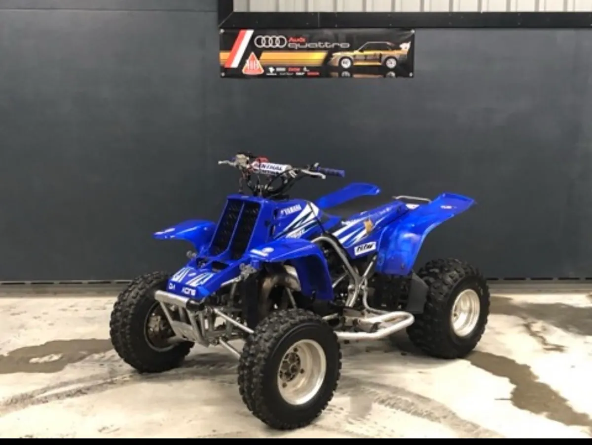 Yamaha banshee wanted