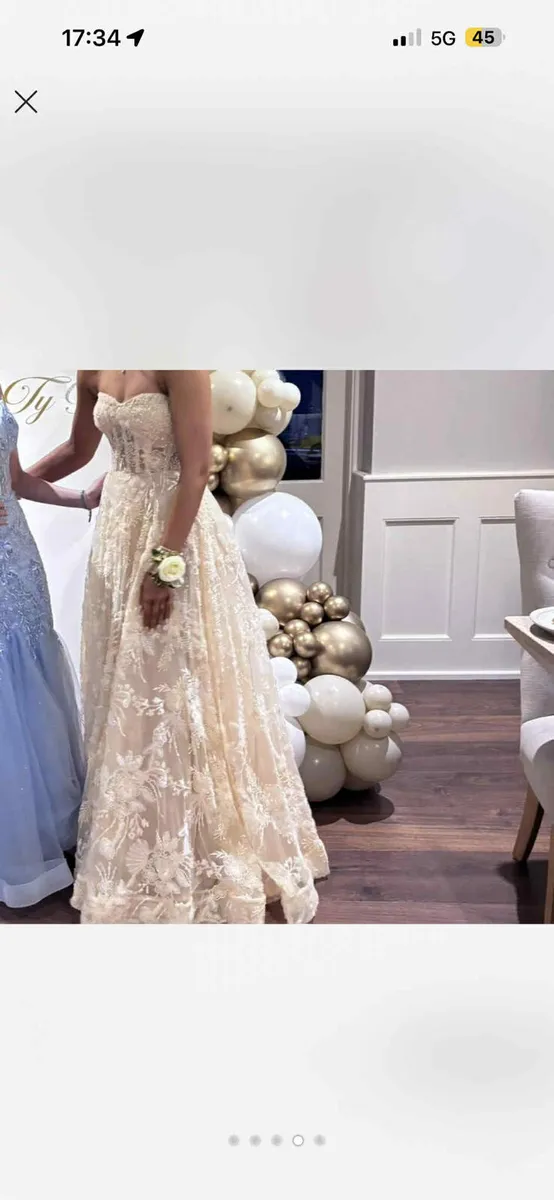 TY/ Debs Ballgown - Image 4