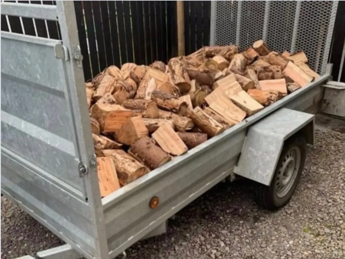 Firewood Timber - Image 1