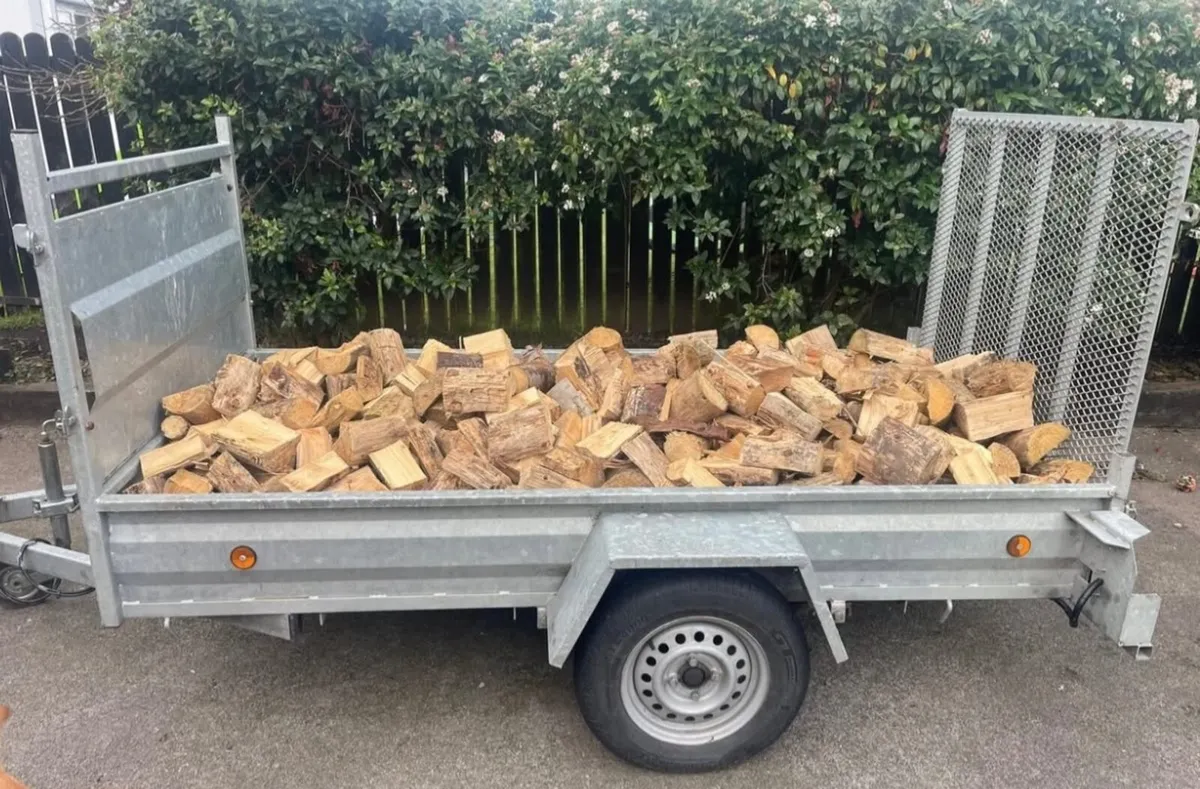 Firewood Timber - Image 2