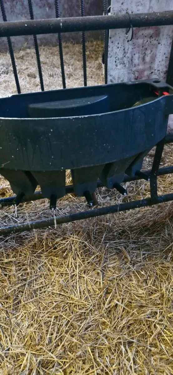 Calf feeders - Image 3