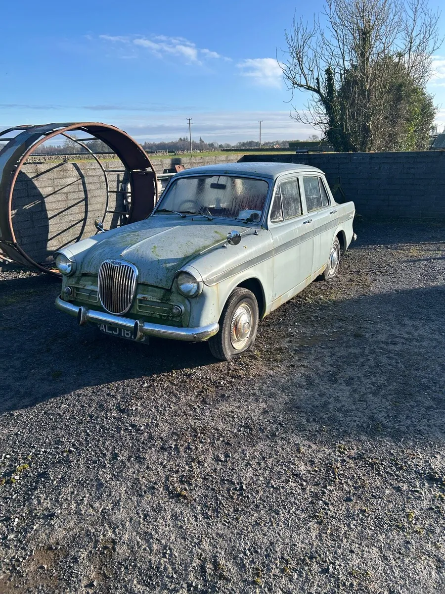 Singer gazelle - Image 2