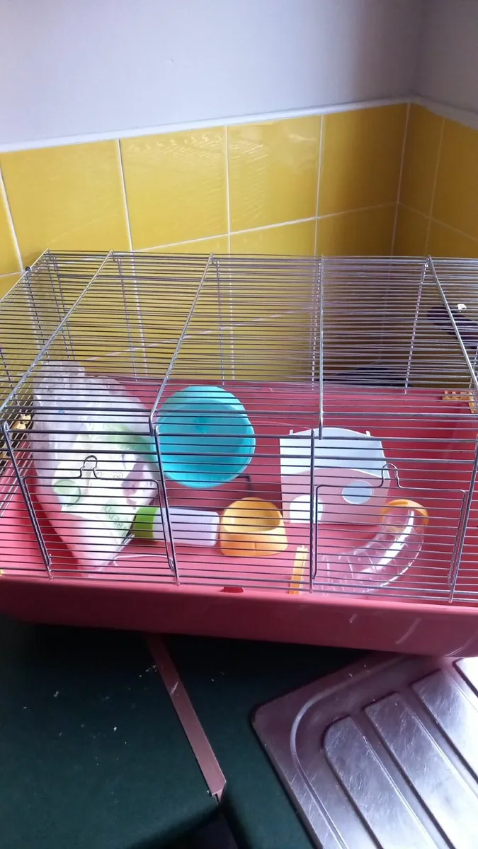 Hamster cage and accessories - Image 1