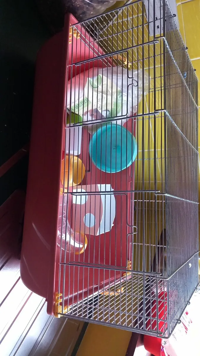 Hamster cage and accessories - Image 2