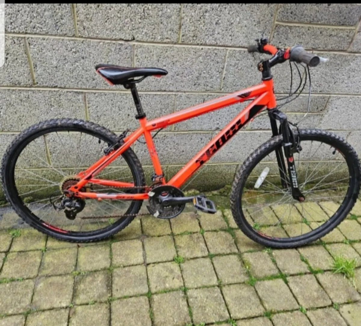 Mountain bike - Image 1