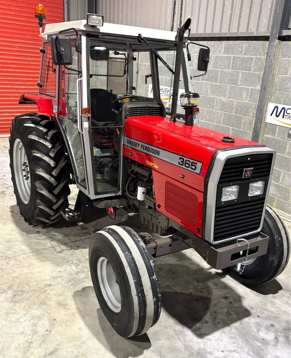 MASSEY FERGUSON 365 - Image 2