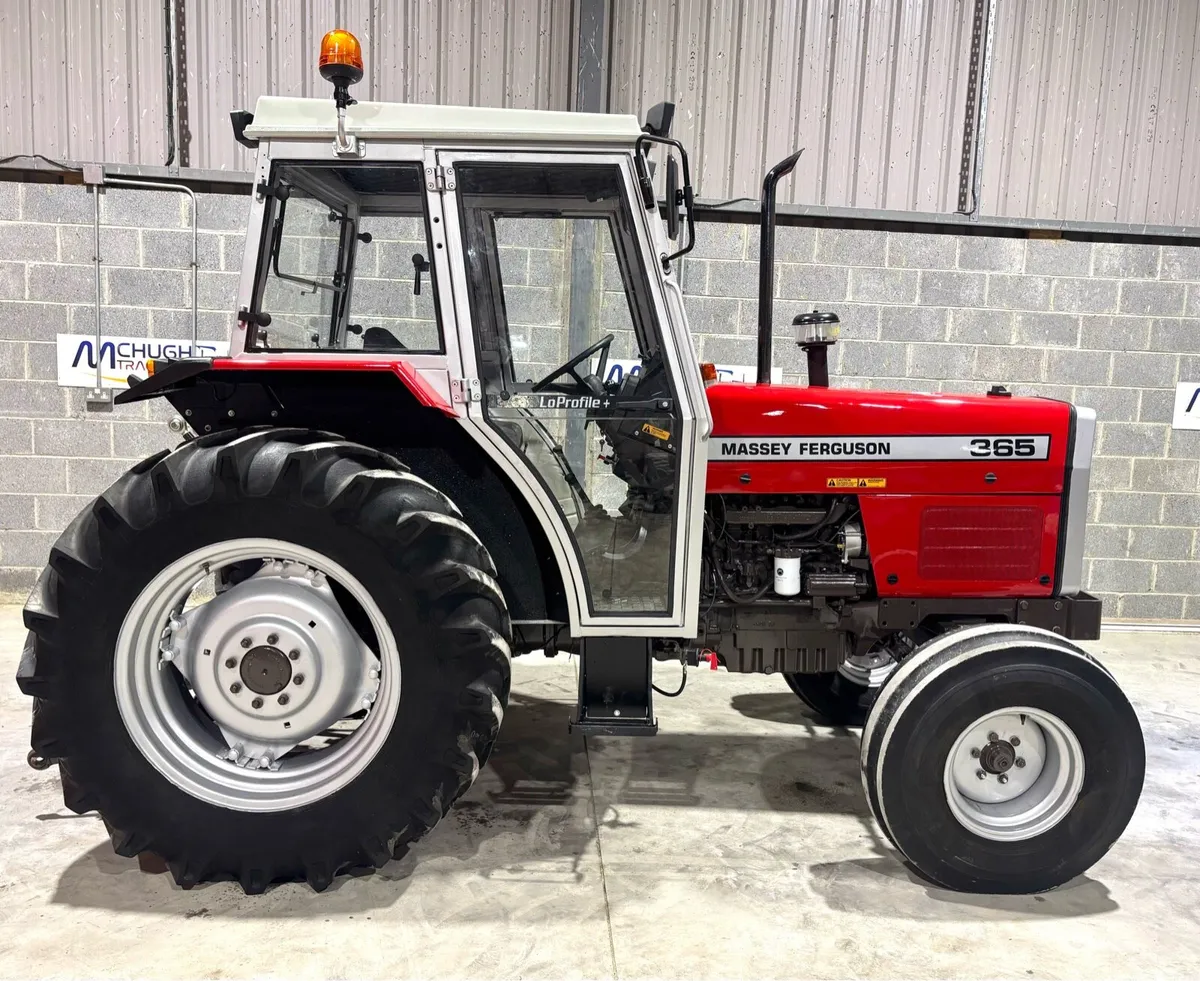 MASSEY FERGUSON 365 - Image 4