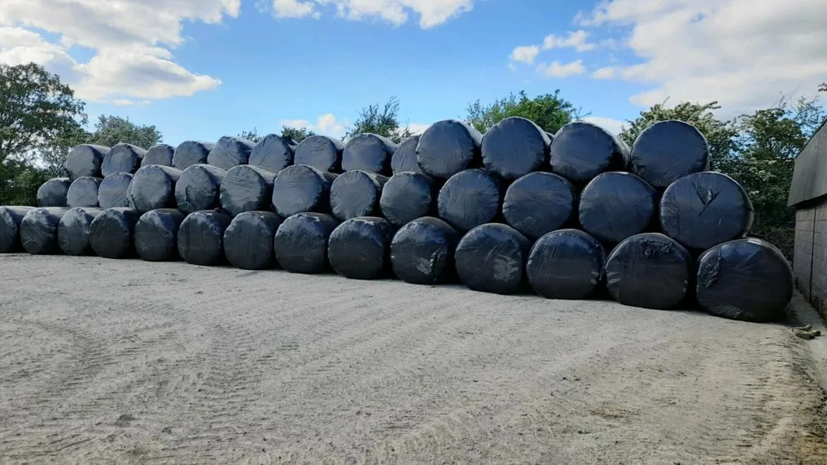 ROUND BALE SILAGE