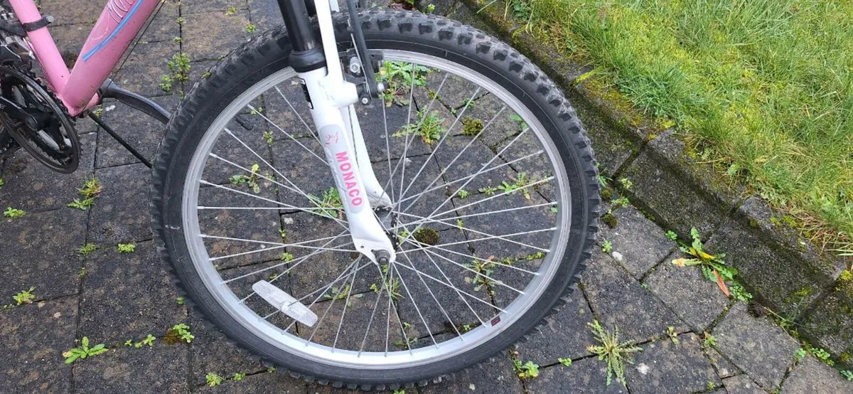 Monaco 20” Girls Bike | 18 Speed | €65 - Image 2