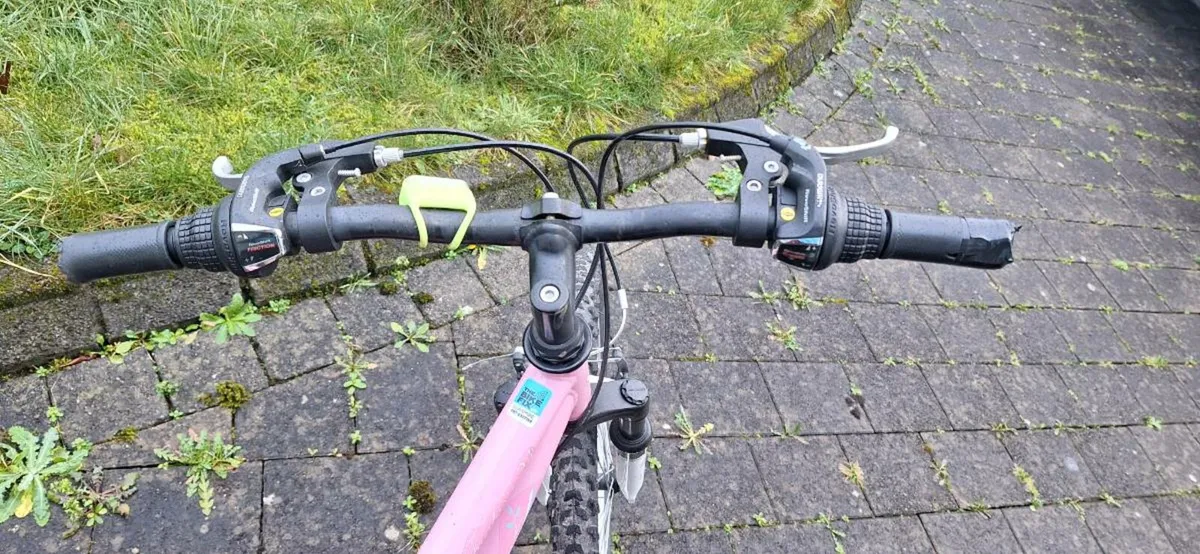 Monaco 20” Girls Bike | 18 Speed | €65 - Image 3