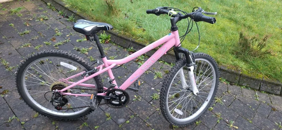 Monaco 20” Girls Bike | 18 Speed | €65 - Image 1