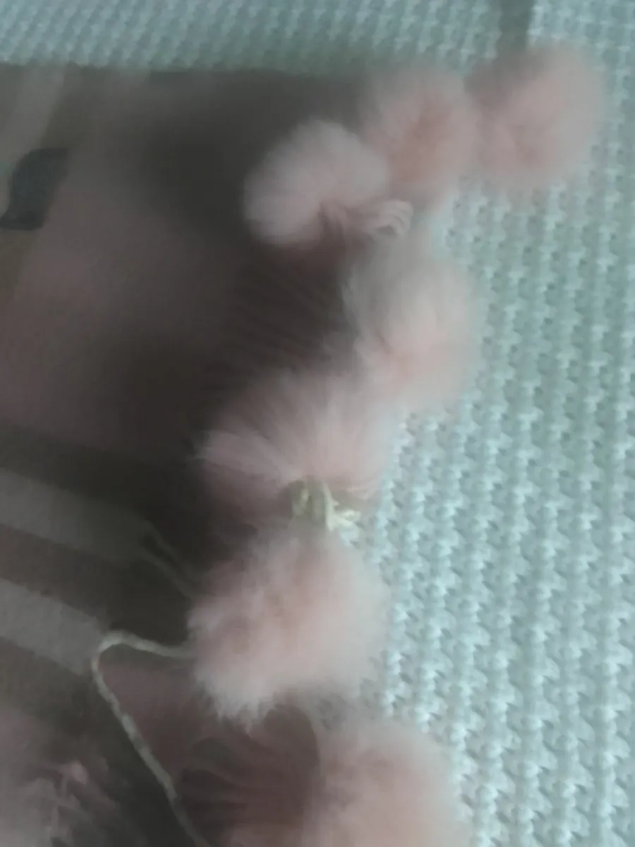 Burberry lambswool pink & grey check scarf - Image 4