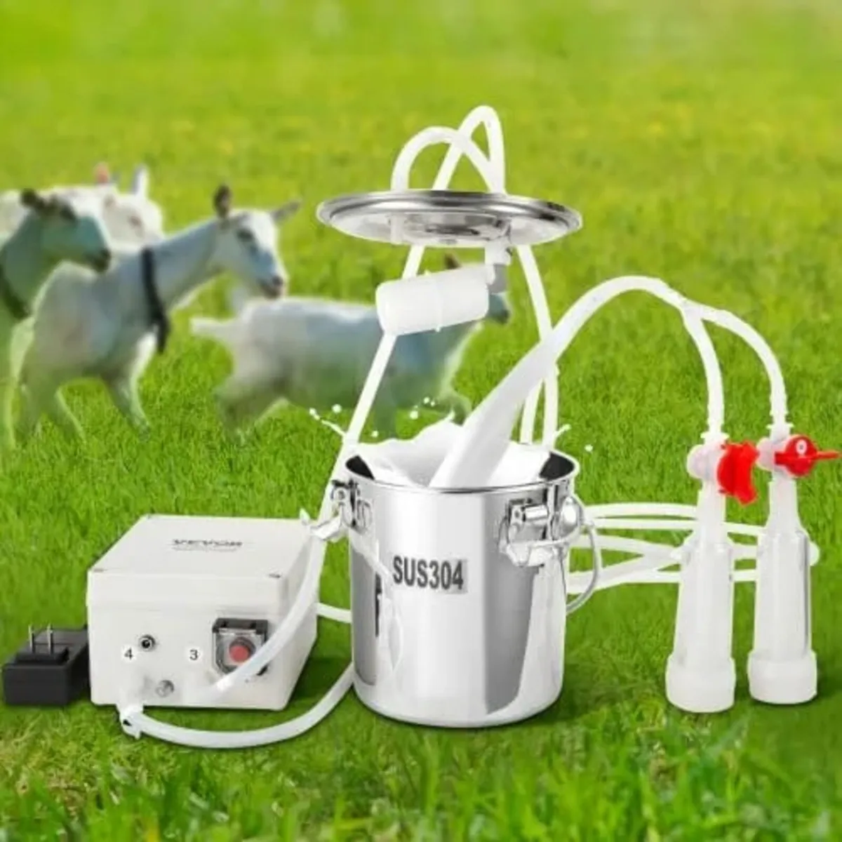 Goat Milking Machine, 3 L 304 Stainless Steel Buck - Image 1