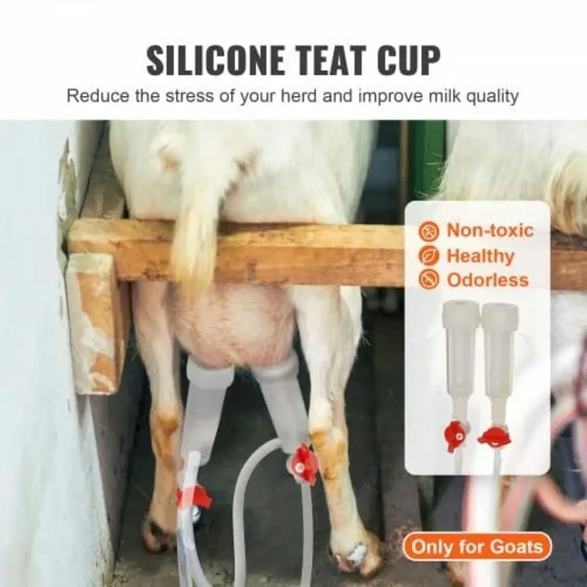 Goat Milking Machine, 3 L 304 Stainless Steel Buck - Image 4